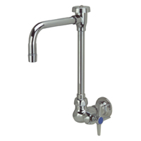 AquaSpec® wall-mount lab faucet with 6